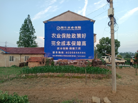 汝南墙体广告为何受追捧？